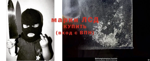 мяу мяу мука Ельня