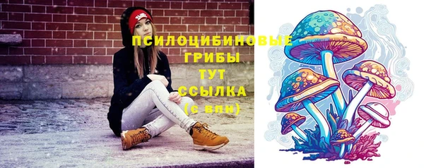 спайс Елабуга