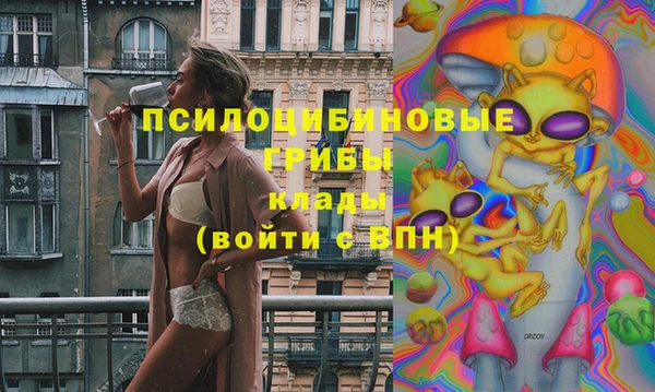 ешки Елизово