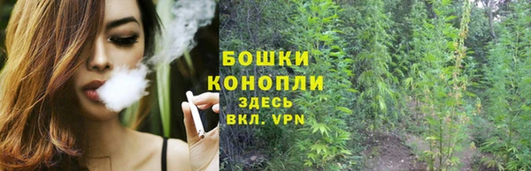 спайс Елабуга