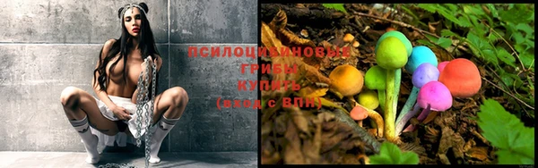 ешки Елизово