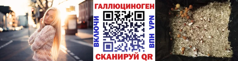 Псилоцибиновые грибы Psilocybine cubensis  Купить закладки  Печоры 